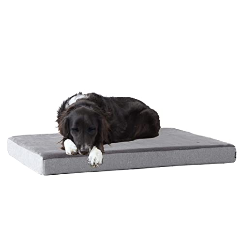 Barkbox Memory Foam Platform Dog Bed | Plush Mattress for Orthopedic Joint Relief (Medium, Grey)