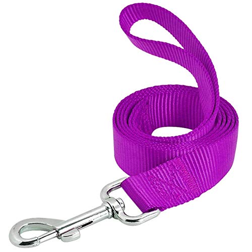 AEDILYS Dog Leash,Strong and Durable Traditional Style Leash with Easy to Use Collar Hook,Nylon Dog Leashs, Traction Rope (4/5 inch X 6FT, Purple)