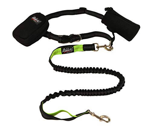 Riddick’s Hands Free One & Two Dog Leashes for Running, Walking, Hiking, Training, Premium Dual-Handle 4ft Bungee Leash, Reflective Stitching, Adjustable Waist Belt,Accessories New for Two Dog Leash