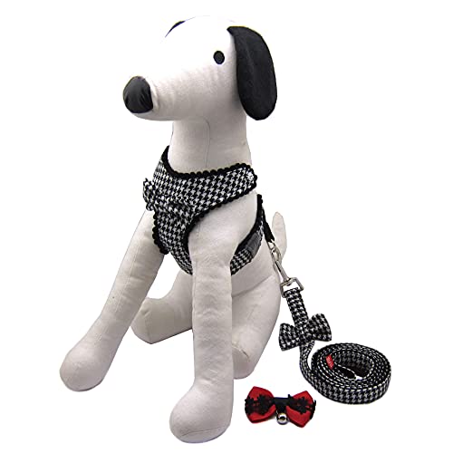 Alfie Pet - Shayne Step-in Harness and Leash Set - Color: Black, Size: XS