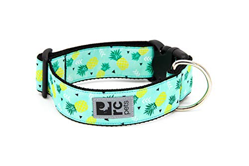 RC Pets 1-1/2 Inch Wide Adjustable Dog Clip Collar, Large, Pineapple Parade