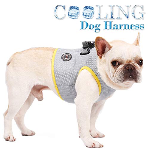Rantow Dog Cooling Harness - Reflective Pup Cooler Vest Outdoor Training Walking Cool Harness - 7 Sizes for Small Medium Large Pet Dogs (XS (Neck:10.3'-11.1', Chest:14.6'-16.5'))