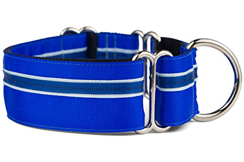 If It Barks - 1.5' Martingale Collar for Dogs - Adjustable - Nylon - Strong and Comfy - Ideal for Training - Made in USA - Large, Blueberry