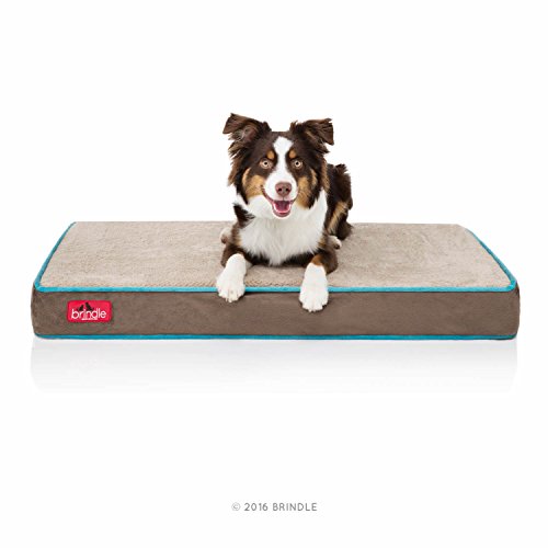 Brindle Waterproof Designer Memory Foam Pet Bed-Removable Machine Washable Cover-4 Inch Orthopedic Pet Bed-Joint Relief