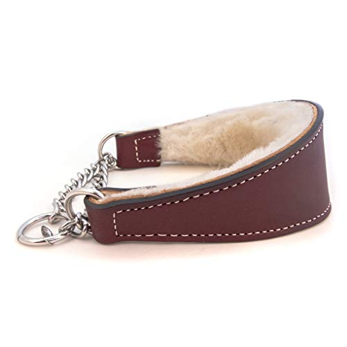 Sheepskin Lined Leather Martingale Dog Collar 1in wide by 12in - Burgundy