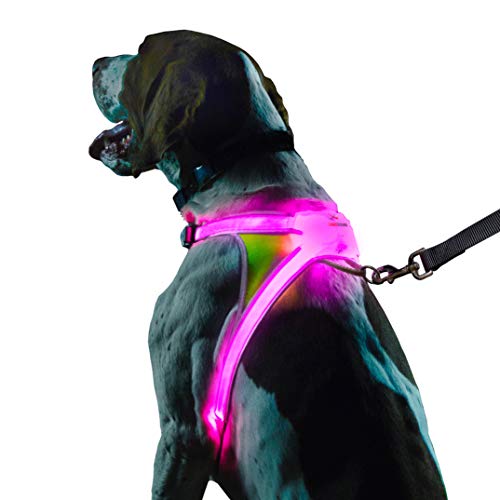 Noxgear LightHound – Revolutionary Illuminated and Reflective Harness for Dogs Including Multicolored LED Fiber Optics (USB Rechargeable, Adjustable, Lightweight, Rainproof) (Large)