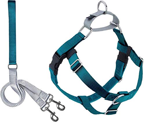 2 Hounds Design Freedom No Pull Dog Harness | Adjustable Gentle Comfortable Control for Easy Dog Walking |for Small Medium and Large Dogs | Made in USA | Leash Included | 1' LG Teal