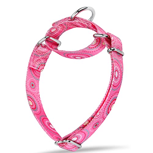 Dazzber Martingale Collar Dog Collar No Pull Pet Collar Heavy Duty Dog Martingale Collars Silky Soft with Unique Pattern for Medium and Large Dogs (Large, 1 Inch Wide, Firework Dots Pink)
