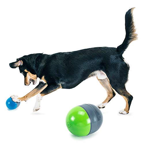 PetSafe Ricochet - Electronic Squeaking Dog Toy - 2 Paired Toys Squeak to Keep Dogs Busy - Engaging Puzzle for Bored, Anxious or Energetic Pets, Multicolor, 4.2' x 3.4' (Set of 2)