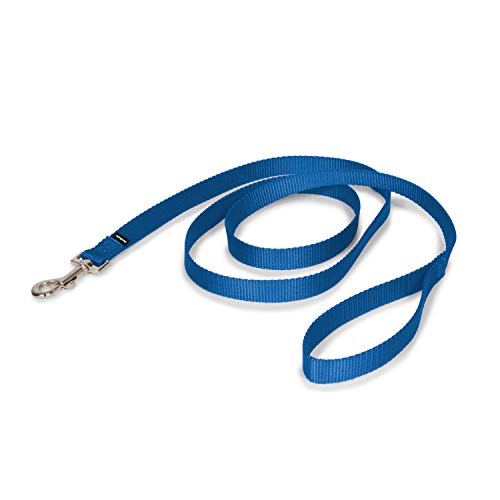 PetSafe Nylon Dog Leash - Strong, Durable, Traditional Style Leash with Easy to Use Bolt Snap - 3/4 in. x 6 ft., Royal Blue