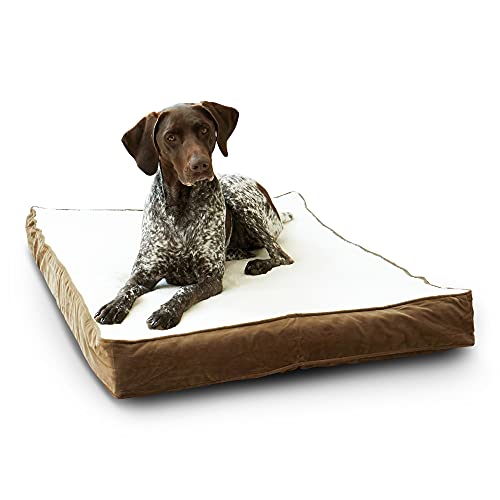 Happy Hounds Oscar Orthopedic Medium (42 x 30 in.) Mocha Rectangle Pillow Style Dog Bed