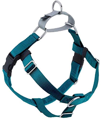 2 Hounds Design Freedom No Pull Dog Harness | Adjustable Gentle Comfortable Control for Easy Dog Walking | for Small Medium and Large Dogs | Made in USA | Leash Not Included | 1' MD Teal