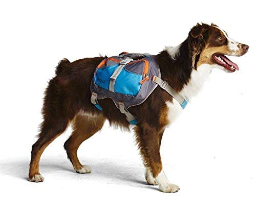 Cesar Millan Dog Backpack Large Blue