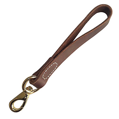 FAIRWIN Leather Short Dog Leash 12' - Short Dog Traffic Lead Leash for Large Dogs Training and Walking ( Width: 3/4') (Brown-New)