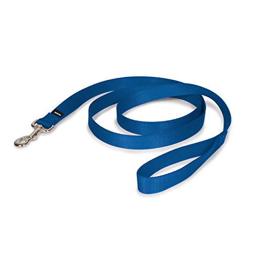 PetSafe Nylon Dog Leash - Strong, Durable, Traditional Style Leash with Easy to Use Bolt Snap - 1 in. x 6 ft., Royal Blue