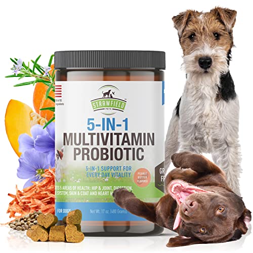 Dog Multivitamin + Dog Probiotics Soft Chews | Glucosamine Chondroitin, Probiotics, Omega 3 | Dog Supplements & Vitamins | Dog Health Supplies | 120 Grain Free Chews, USA