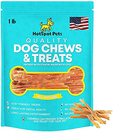 HotSpot Pets Beef Tendon Chews for Dogs - 8 Inch All Natural, Free-Range, Grass-Fed Premium USDA Gambrol Beef Tendon Stick Treats - Made in USA (1 Pound - Pack of 1)