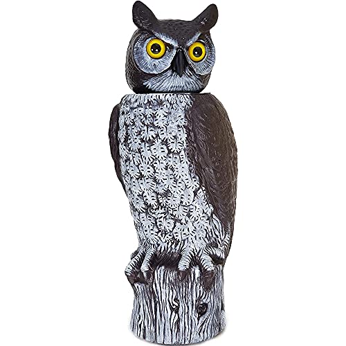 Dalen Fake Owl Decoy to Scare Birds Away from Gardens, Rooftops, and Patios - Scarecrow Provides Chemical-Free Pest Control - Safe and Humane, 18' 360º Rotating Head
