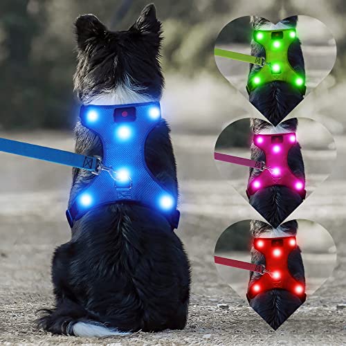 DOMIGLOW LED Dog Harness USB Rechargeable Light Up Dog Harness No Pull Pet Harness Adjustable Padded Soft Glowing Dog Vest for Small Dogs(S, Blue)