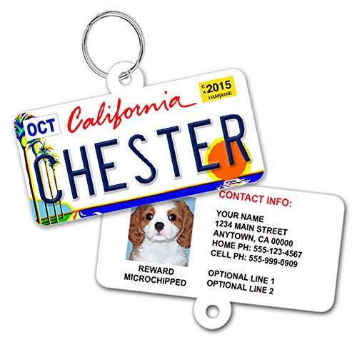 License Plate Custom Dog Tags for Pets - Personalized Pet ID Tags - Available For All 50 States - Dog Tags For Dogs - Dog ID Tag - Personalized Dog ID Tags - Cat ID Tags - With Pet Photo