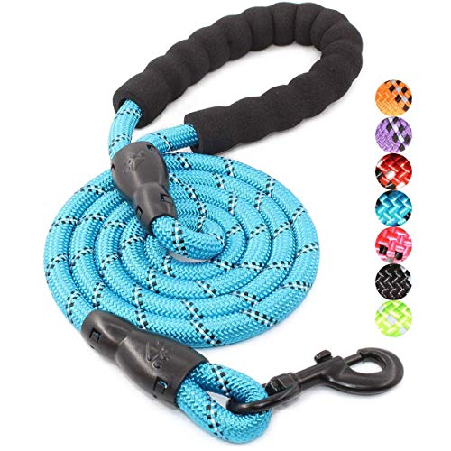 BAAPET 2/4/5/6 FT Dog Leash with Comfortable Padded Handle and Highly Reflective Threads for Small Medium and Large Dogs (5FT-1/2'', Blue)