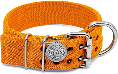 Pit Bull Collar, Dog Collar for Large Dogs, Heavy Duty Nylon, Stainless Steel Hardware (Large, Orange Juice)