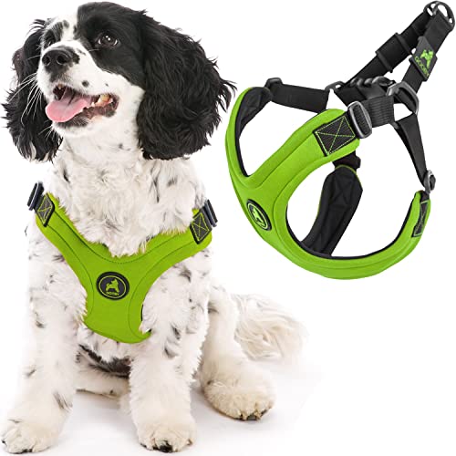 Gooby Escape Free Sport Harness - Lime, Medium - No Choke Step-in Patented Neoprene Small Dog Harness with Four-Point Adjustment - Perfect on The Go Dog Harness for Medium Dogs No Pull and Small Dogs