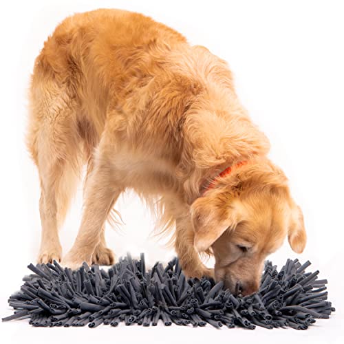 Paw 5 Dog Snuffle Mat for Dogs Small. Dog Toys Interactive - Reduces Boredom & Anxiety. Premium Feeding Mat for Slow Eating & Smell Training. Dog Brain Stimulating Toys + Small Dog Bed