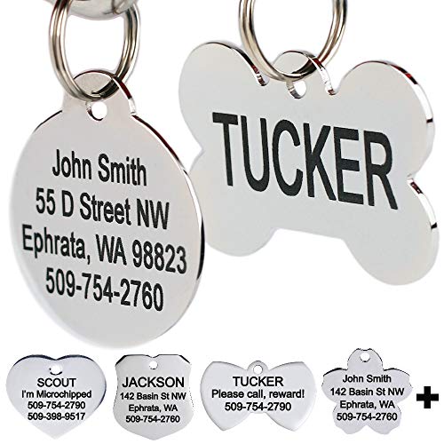 GoTags Stainless Steel Pet ID Tags, Personalized Dog Tags and Cat Tags, up to 8 Lines of Custom Text Engraved on Both Sides, in Bone, Round, Heart, Bow Tie, Flower, Star and More (Bone, Regular)