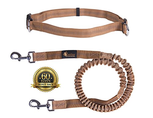 Petter Hands Free Dog Leash for Running, Walking, Hiking, Durable Dual-Handle Bungee Leash, Reflective Stitching, Adjustable Waist Belt Fits up to 42' Waist, Up to 150 Lb Large Breeds