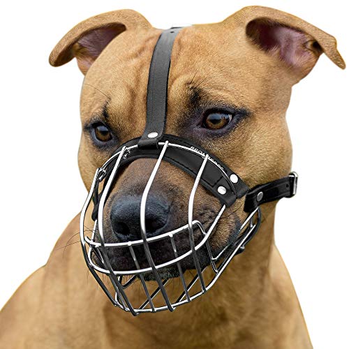 BRONZEDOG Pitbull Dog Muzzle Wire Basket Amstaff Pit Bull Metal Mask Adjustable Leather Straps (M)