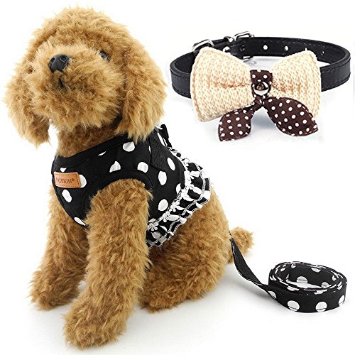 Cute Small Dog Harness, Ladies Polka Dots Dog Vest Harness Set with Pink Leash and Bowknot Collar, 3 in 1 Girl Style Vest Harness Set for Puppy and Cat (L, Black)