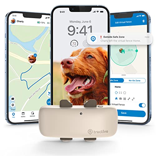 Tractive GPS Pet Tracker for Dogs - Waterproof, GPS Location & Smart Activity Tracker, Unlimited Range, Works with Any Collar (Coffee)