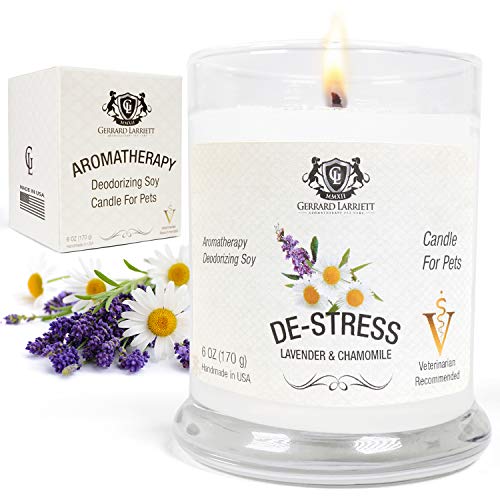Lavender & Chamomile Aromatherapy Deodorizing Soy Candle for Pets, Pet Odor Eliminator & Animal Lover Gift - 6 OZ (170 g)