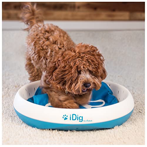 iDig Stay Digging Toy for Dogs