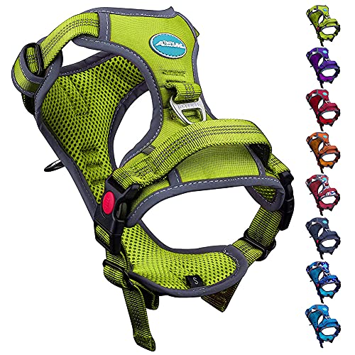 ThinkPet No Pull Harness Breathable Sport Harness with Handle-Dog Harnesses Reflective Adjustable for Medium Large Dogs,Back/Front Clip for Easy Control L Green