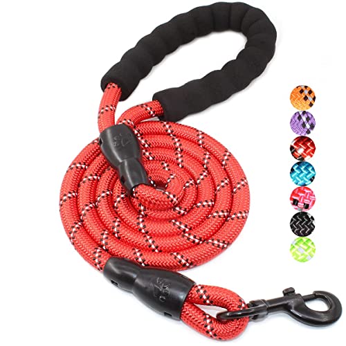 BAAPET 2/4/5/6 FT Dog Leash with Comfortable Padded Handle and Highly Reflective Threads for Small Medium and Large Dogs (5FT-1/2'', Red)