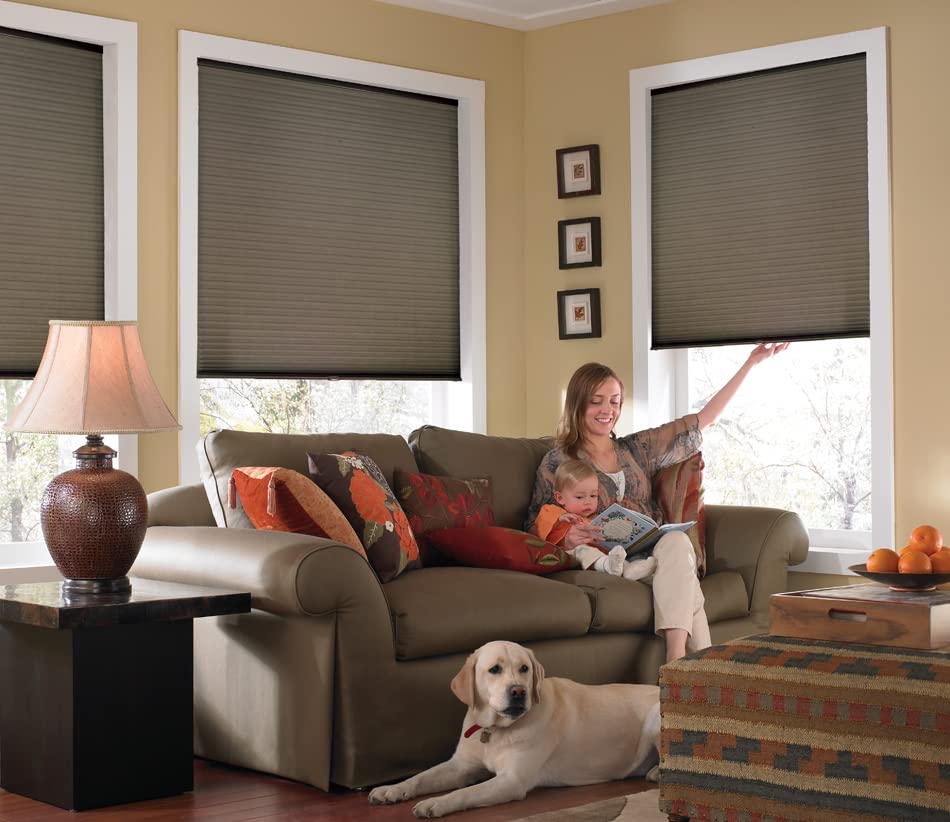 Custom Cordless Single Cell Shades, 24W x 24H-48H, Espresso, Light Filtering 21-72 Inches Wide