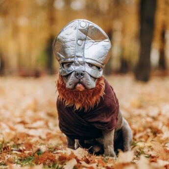 Viking dog names