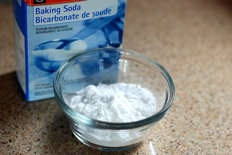 make DIY toothpaste for dogs