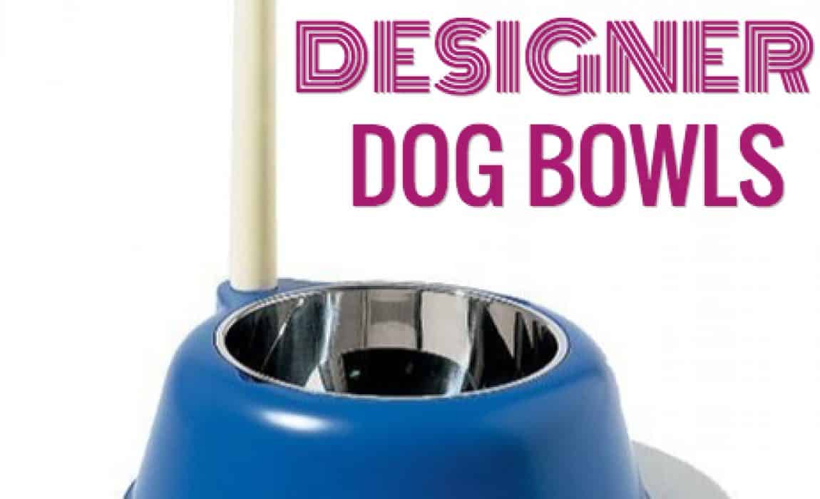 best designer dog bowls
