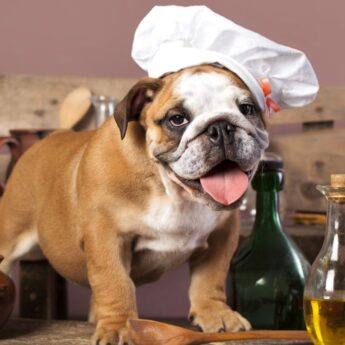 Best Cookbooks for Dogs