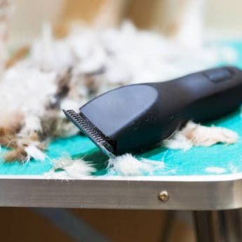best dog grooming clippers