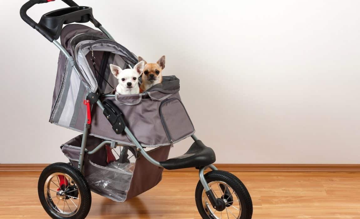 best dog strollers
