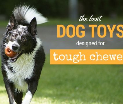 best dog toys for aggressive chewers