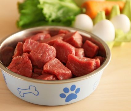 raw dog foods