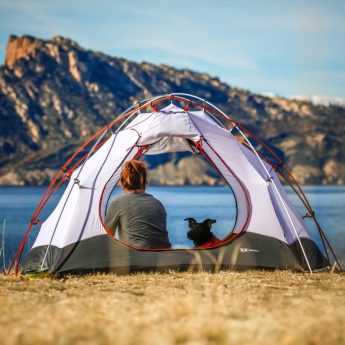 Best Tents for Dogs