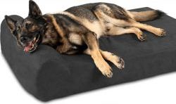 The Big Barker Premium Dog Bed