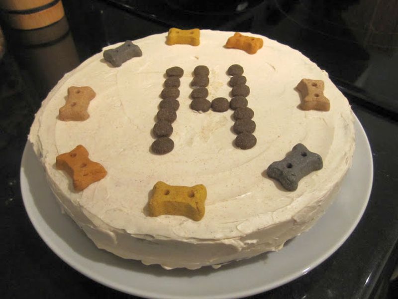cake for dogs