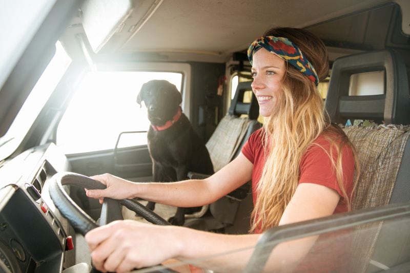 vanlife challenges with dog